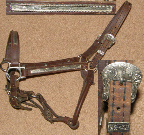 How To Show A Horse In Halter Class at Irene Troyer blog